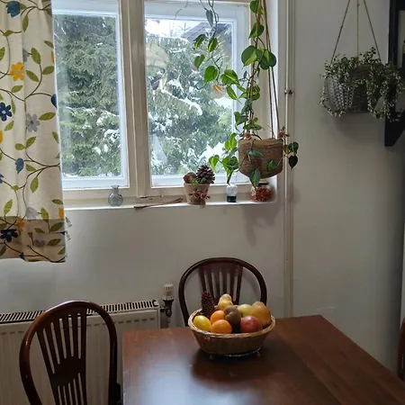 Tatil Evi Planinska Kucica Srce Zlatibor