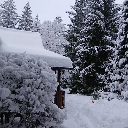 Planinska Kucica Srce Ferienhaus Zlatibor