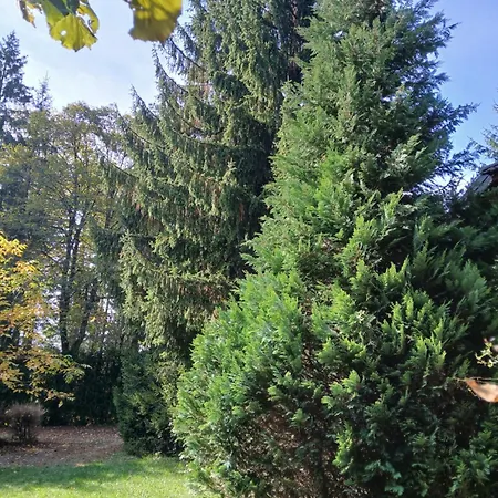 Planinska Kucica Srce Tatil Evi Zlatibor