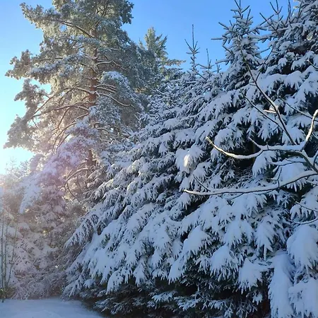 Planinska Kucica Srce