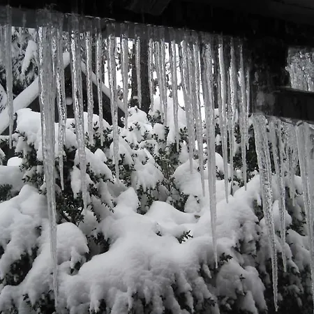 Tatil Evi Planinska Kucica Srce