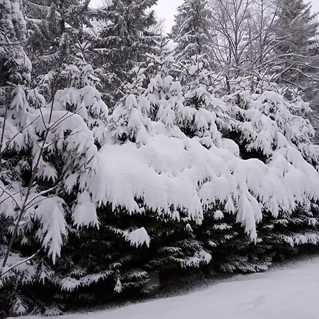 Planinska Kucica Srce Tatil Evi