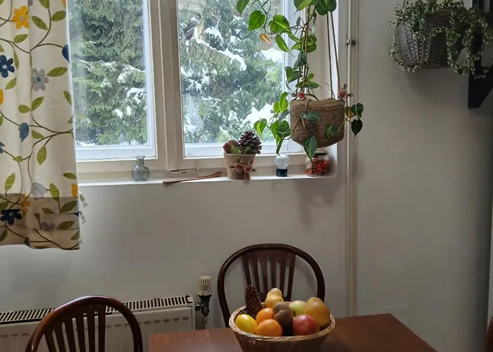 펜션 Planinska Kucica Srce 즐라티보