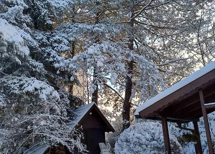 Planinska Kucica Srce * 즐라티보