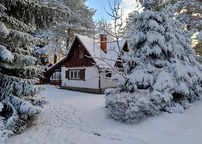 펜션 Planinska Kucica Srce