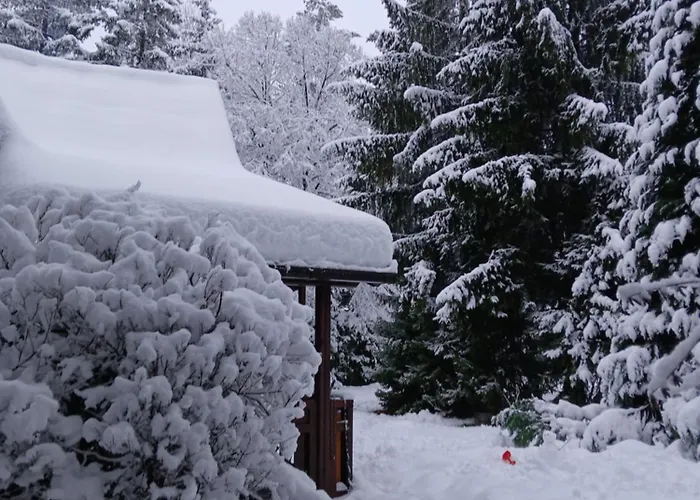 Planinska Kucica Srce 펜션 즐라티보