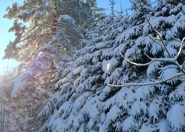 Planinska Kucica Srce