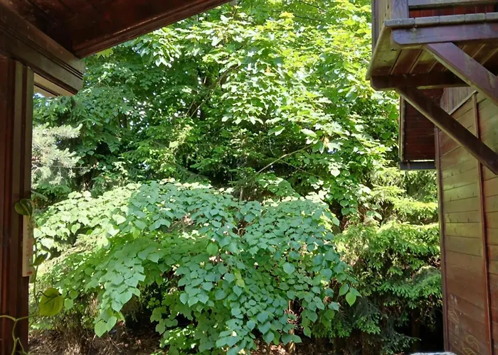 Planinska Kucica Srce 펜션