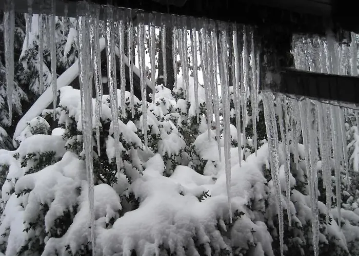 펜션 Planinska Kucica Srce