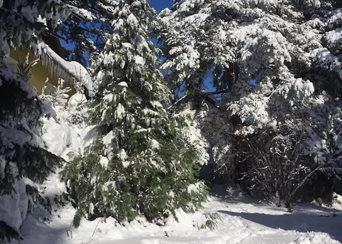 펜션 Planinska Kucica Srce *