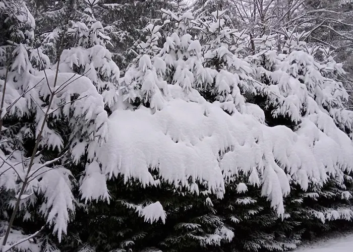 Planinska Kucica Srce 펜션